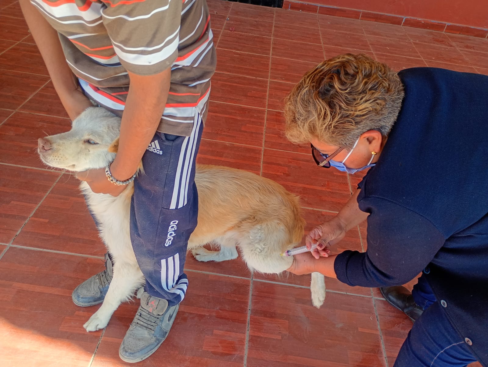 WhatsApp Image 2026-01-27 at 5.19.42 PM (2)