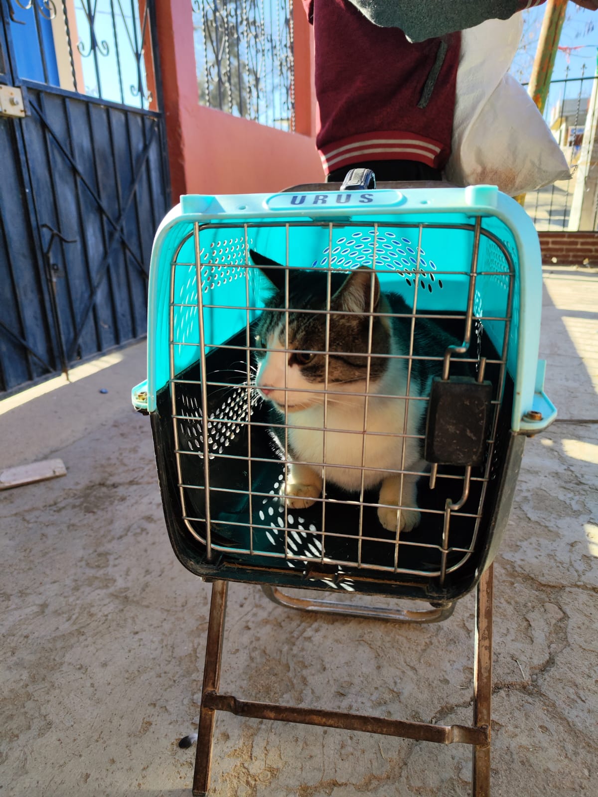 WhatsApp Image 2026-01-27 at 5.22.00 PM