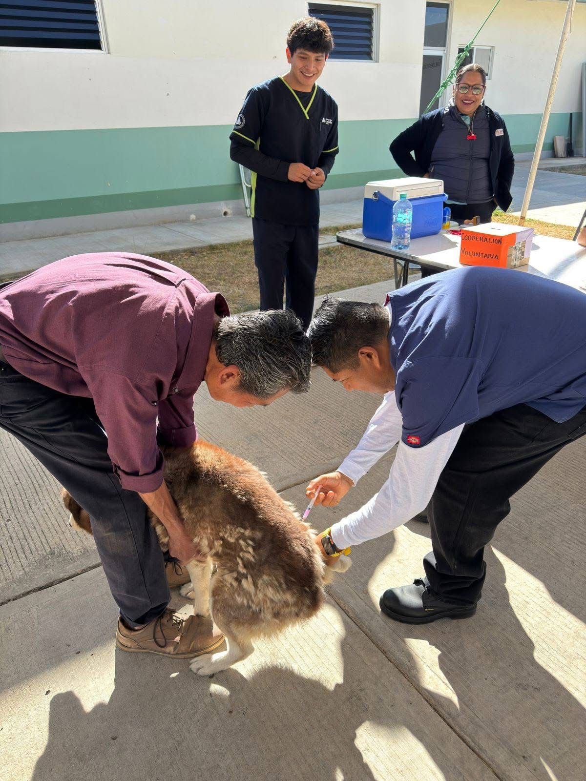 WhatsApp Image 2026-01-30 at 1.21.13 PM (1)