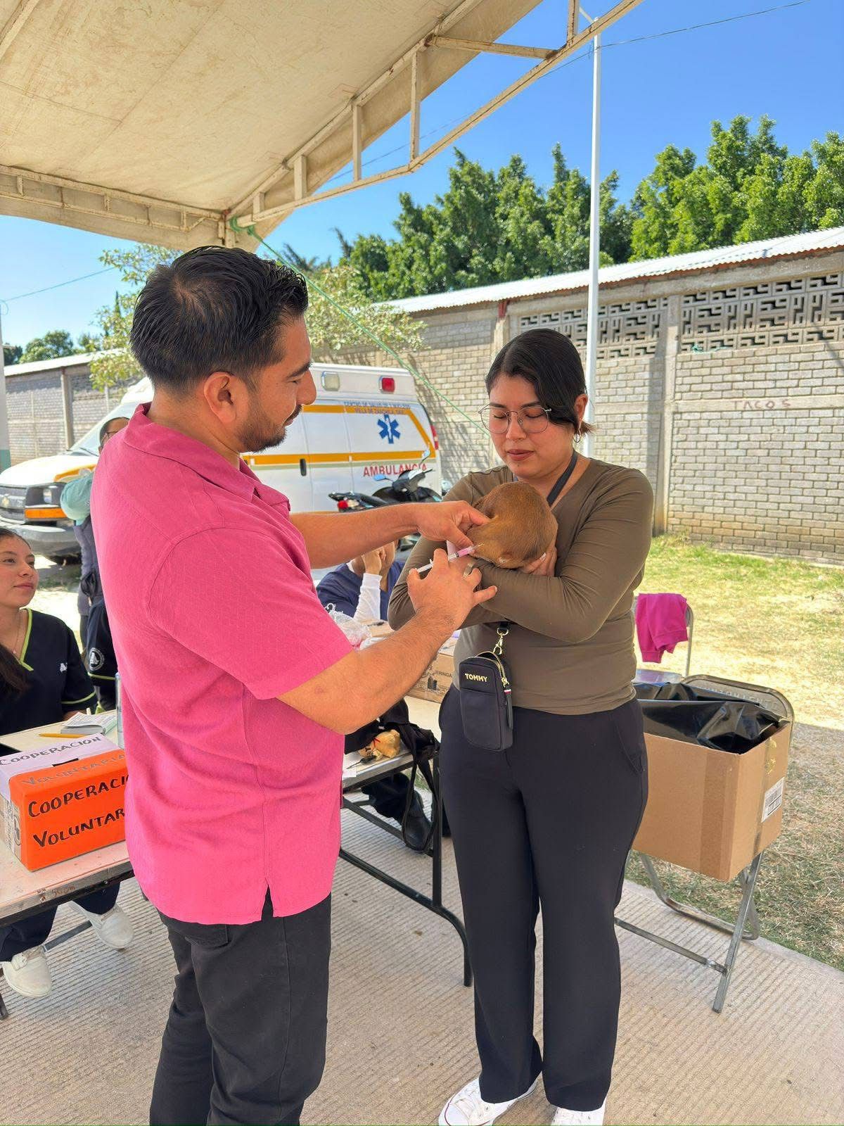 WhatsApp Image 2026-01-30 at 1.21.13 PM (3)