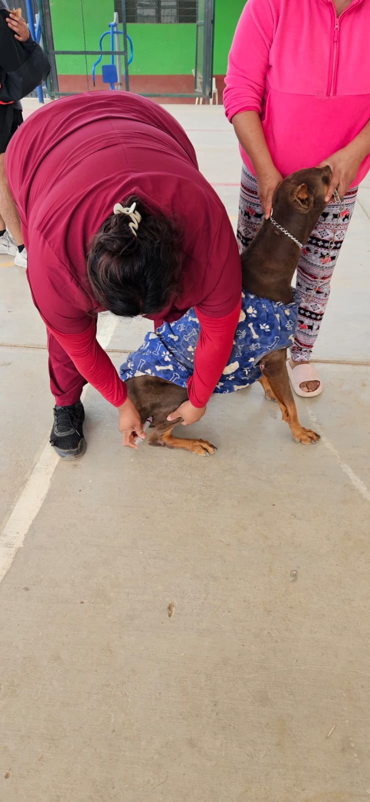 WhatsApp Image 2026-01-30 at 12.08.03 PM (1)