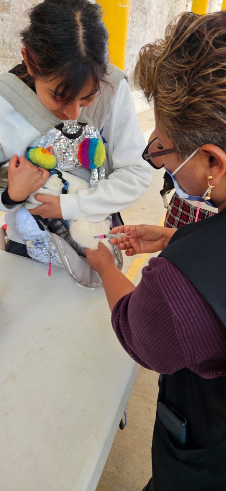 WhatsApp Image 2026-01-30 at 12.08.08 PM